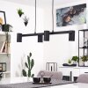 Zuoz Lampa Wisząca Czarny, 4-punktowe