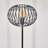 Trapichera Lampa Stojąca czarny, 1-punktowy