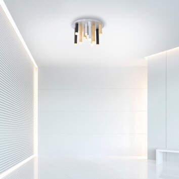 Paul Neuhaus PURE-GEMIN Lampa Sufitowa LED Aluminium, Czarny, 12-punktowe