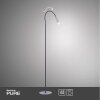 Paul Neuhaus PURE-GEMIN Lampa Stojąca LED Aluminium, Czarny, 1-punktowy