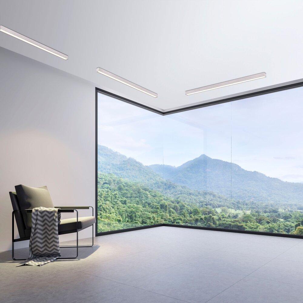 Paul Neuhaus PURE-LINES Lampa Sufitowa LED Aluminium, 1-punktowy, Zdalne sterowanie main product photo