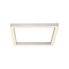 Paul Neuhaus PURE-LINES Lampa Sufitowa LED Aluminium, 1-punktowy, Zdalne sterowanie