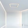 Paul Neuhaus PURE-LINES Lampa Sufitowa LED Aluminium, 1-punktowy, Zdalne sterowanie