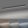 Paul Neuhaus PURE-LINES Lampa Sufitowa LED Antracytowy, 1-punktowy, Zdalne sterowanie