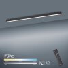 Paul Neuhaus PURE-LINES Lampa Sufitowa LED Antracytowy, 1-punktowy, Zdalne sterowanie