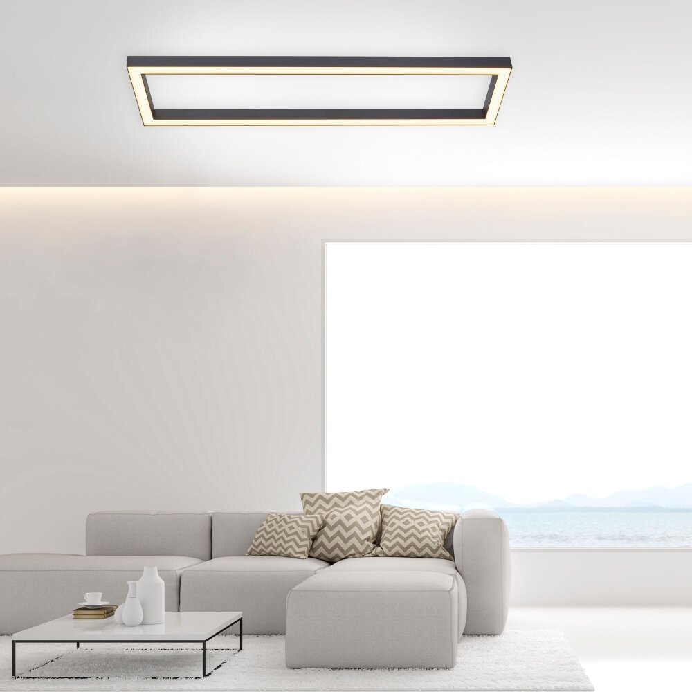 Paul Neuhaus PURE-LINES Lampa Sufitowa LED Antracytowy, 1-punktowy, Zdalne sterowanie main product photo