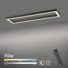 Paul Neuhaus PURE-LINES Lampa Sufitowa LED Antracytowy, 1-punktowy, Zdalne sterowanie