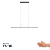 Paul Neuhaus PURE-LITE Lampa Wisząca LED Antracytowy, 1-punktowy