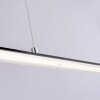Paul Neuhaus PURE-LITE Lampa Wisząca LED Antracytowy, 1-punktowy