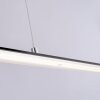 Paul Neuhaus PURE-LITE Lampa Wisząca LED Antracytowy, 1-punktowy