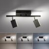 Paul Neuhaus PURE-MIRA Lampa Sufitowa LED Czarny, 2-punktowe, Zdalne sterowanie