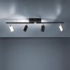 Paul Neuhaus PURE-MIRA Lampa Sufitowa LED Czarny, 4-punktowe, Zdalne sterowanie