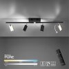 Paul Neuhaus PURE-MIRA Lampa Sufitowa LED Czarny, 4-punktowe, Zdalne sterowanie