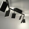 Paul Neuhaus PURE-MIRA Lampa Sufitowa LED Czarny, 6-punktowe, Zdalne sterowanie