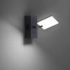 Paul Neuhaus PURE-MIRA Lampa ścienna LED Czarny, 2-punktowe, Zdalne sterowanie