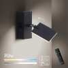 Paul Neuhaus PURE-MIRA Lampa ścienna LED Czarny, 2-punktowe, Zdalne sterowanie