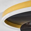 Oleiro wentylator sufitowy LED Złoty, Czarny, Biały, 1-punktowy, Zdalne sterowanie