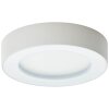 Brillliant Whittaker Lampa Sufitowa zewnętrzna LED Biały, 1-punktowy