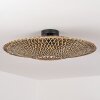 Shelbourne Lampa Sufitowa Czarny, 1-punktowy