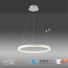 Paul-Neuhaus TITUS Lampa Wisząca LED Biały, 1-punktowy
