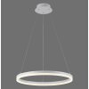 Paul-Neuhaus TITUS Lampa Wisząca LED Biały, 1-punktowy