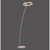Paul-Neuhaus TITUS Lampa Stojąca LED Mosiądz, 1-punktowy