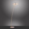 Paul-Neuhaus TITUS Lampa Stojąca LED Mosiądz, 1-punktowy
