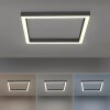 Paul-Neuhaus PURE-LINES Lampa Sufitowa LED Antracytowy, 1-punktowy, Zdalne sterowanie