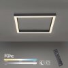 Paul-Neuhaus PURE-LINES Lampa Sufitowa LED Antracytowy, 1-punktowy, Zdalne sterowanie