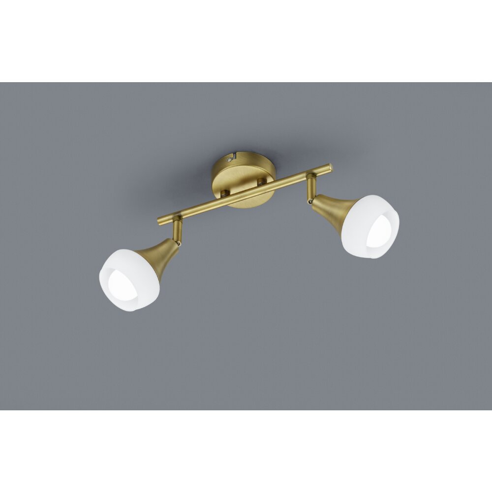 Trio-Leuchten Trumpet Lampa Sufitowa Mosiądz, 2-punktowe main product photo