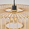 Callide Lampa Wisząca Czarny, 1-punktowy