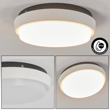 Centinela Lampa Sufitowa zewnętrzna LED Antracytowy, Biały, 1-punktowy