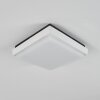 Gomero Lampa Sufitowa zewnętrzna LED Antracytowy, Biały, 1-punktowy