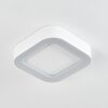 Paleroo Lampa Sufitowa zewnętrzna LED Biały, 1-punktowy
