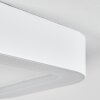Paleroo Lampa Sufitowa zewnętrzna LED Biały, 1-punktowy