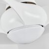 Malloa wentylator sufitowy LED Biały, 1-punktowy, Zdalne sterowanie