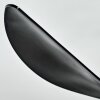 Malloa wentylator sufitowy LED Czarny, 1-punktowy, Zdalne sterowanie