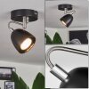 Moesdorf Lampa Sufitowa Nikiel matowy, Czarny, 1-punktowy