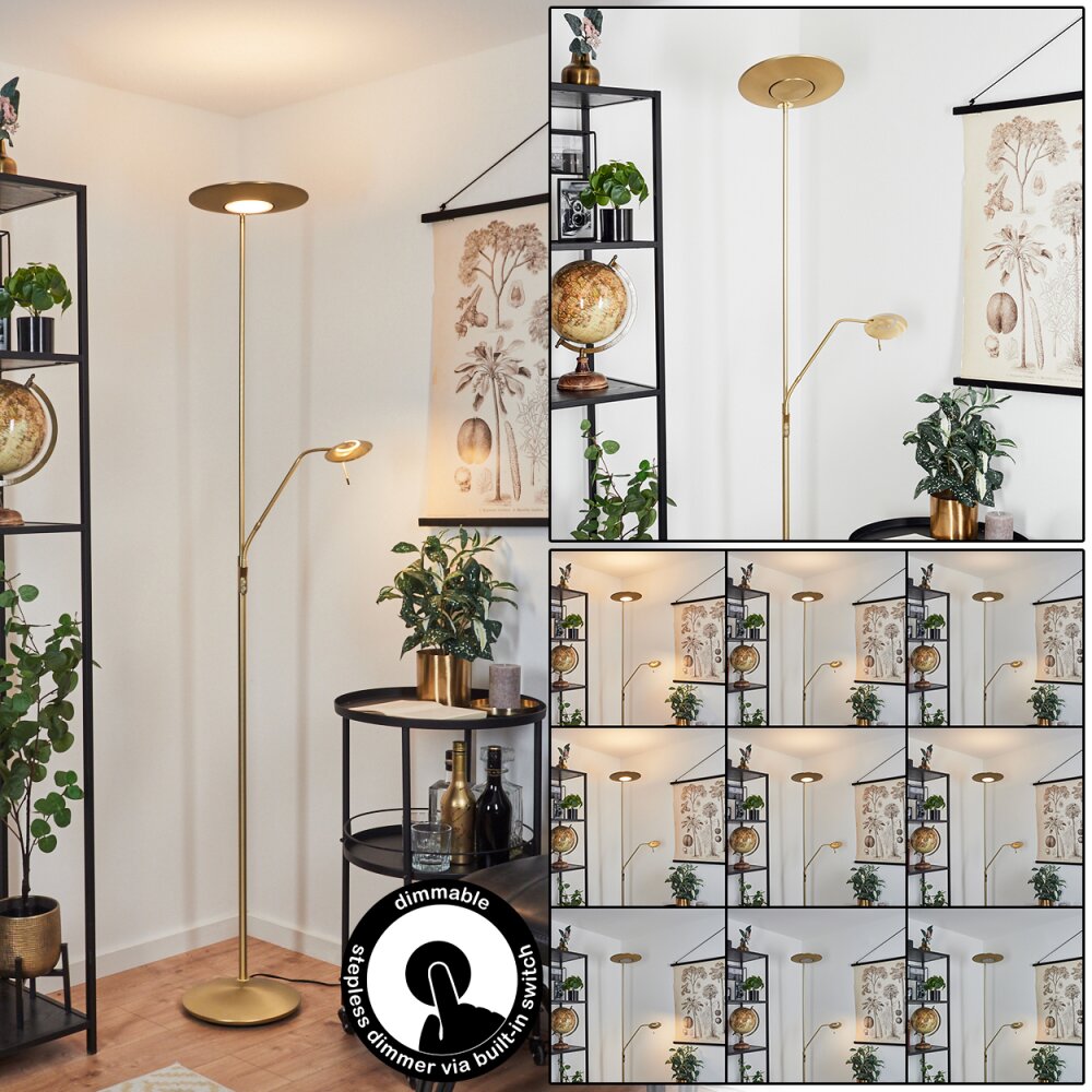 Confluencia Lampa Stojąca LED Mosiądz, 2-punktowe main product photo