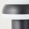 Brilliant Ilton Zewnętrzna Lampa Stojąca LED Czarny, 1-punktowy