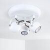 Gadmen Lampa Sufitowa Biały, 3-punktowe