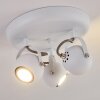 Gadmen Lampa Sufitowa Biały, 3-punktowe