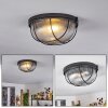 Quintay Lampa Sufitowa czarny, 1-punktowy