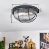 Quintay Lampa Sufitowa czarny, 1-punktowy