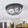 Quintay Lampa Sufitowa czarny, 1-punktowy