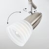 Chapod Lampa Sufitowa LED Nikiel matowy, 3-punktowe