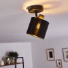 Lampa Sufitowa Alsen Czarny, 1-punktowy