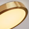 Finsrud Lampa Sufitowa LED Złoty, 1-punktowy