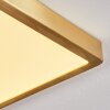 Finsrud Lampa Sufitowa LED Złoty, 1-punktowy