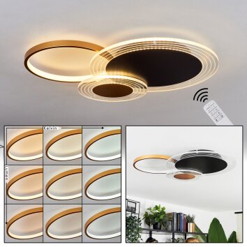 Ipinco Lampa Sufitowa LED Złoty, Czarny, Przezroczysty, 1-punktowy, Zdalne sterowanie